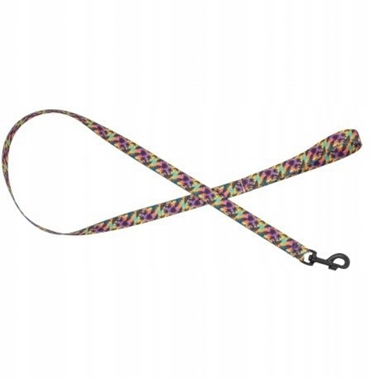 Изображение Smycz dla psa tama Hawaje, 20mm/120cm
