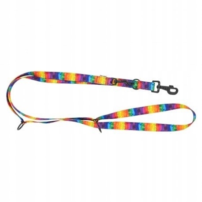 Изображение Smycz regulowana tama dla psa Tcza, 20mm/220cm