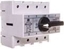 Picture of Spamel Rozcznik izolacyjny 4P 125A (RSI-4125W02)