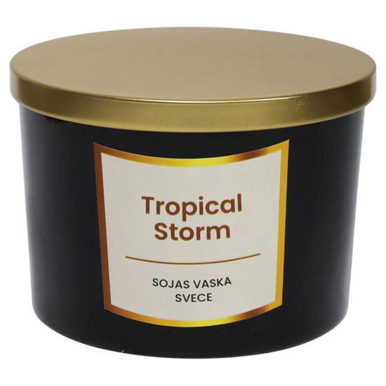 Изображение Svece no sojas vaska 400g, Tropical Storm