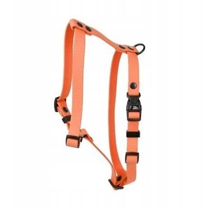 Изображение Szelki dla psa z wytrzymaej gumy, pomaraczowe, 16mm/30-60cm