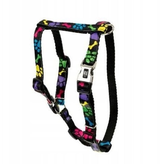 Изображение Szelki dla psa, kolorowe apki, tama polipropylenowa, 16mm/30-60cm