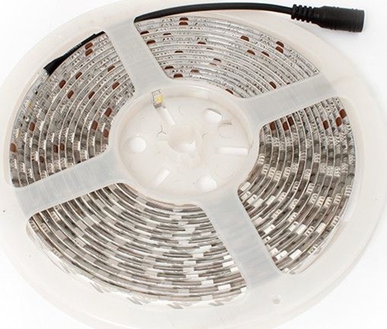 Picture of Tama LED Abilite SMD5050 5m 60szt./m 40W/m 12V  (5901583544286)