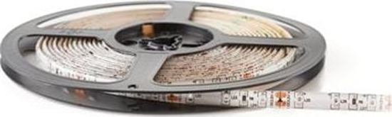 Изображение Tama LED Ecolight Eco Light* Tama LED 300 diod 2835 IP20 4000K 5m 24W 1500lm 12V EC79350