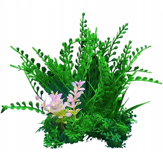 Picture of Terra Natura Aqua Natura rolina zielona z dodatkiem zótego plastikowa 12 cm