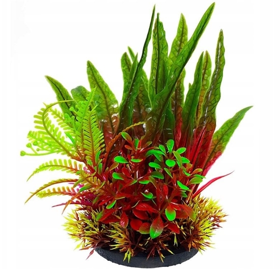 Picture of Terra Natura Aqua Natura, rolina do dekoracji akwarium, bordowo-zielona, plastikowa, 18 cm, mix rolin