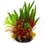 Picture of Terra Natura Aqua Natura, rolina do dekoracji akwarium, bordowo-zielona, plastikowa, 18 cm, mix rolin