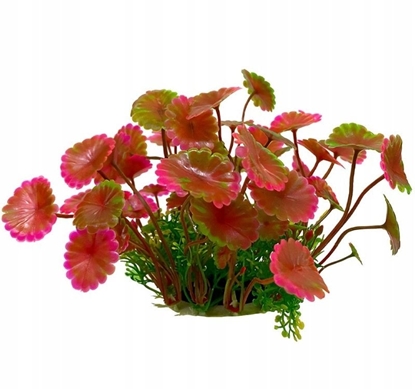 Picture of Terra Natura Aqua Natura, rolina do dekoracji akwarium, czerwona, plastikowa, 12 cm, licie parasolowate