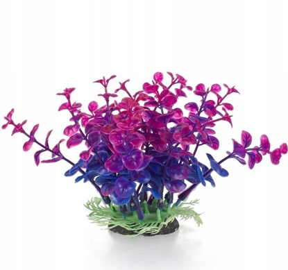 Picture of Terra Natura Aqua Natura, rolina do dekoracji akwarium, granatowo-fioletowa, plastikowa, 12 cm, peperomia