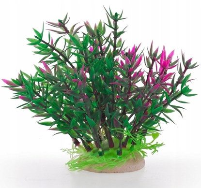 Picture of Terra Natura Aqua Natura, rolina do dekoracji akwarium, zielona, plastikowa, 12 cm, z róowymi pdami