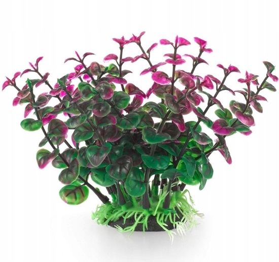 Picture of Terra Natura Aqua Natura, rolina do dekoracji akwarium, zielono-fioletowa, plastikowa, 12 cm, peperomia