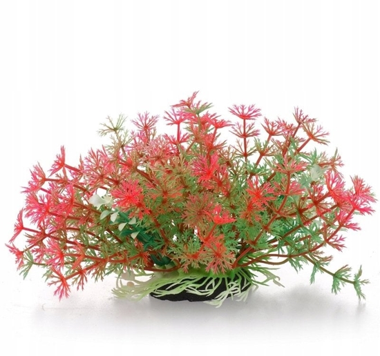 Picture of Terra Natura Aqua Natura, rolina do dekoracji akwarium, zielono-róowa, plastikowa, 10 cm, pdy kopru, szerokie