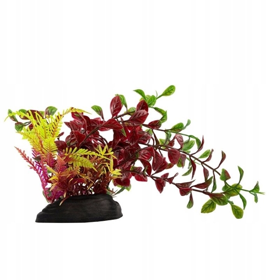 Picture of Terra Natura Aqua Natura, rolina, do dekoracji akwarium, bordowa, plastikowa, 20 cm, paprotka i mode pdy