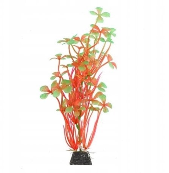 Picture of Terra Natura Aqua Natura, rolina, do dekoracji akwarium, czerwono-zielone, plastikowa, 20 cm, pdy z kwiatem koniczyny