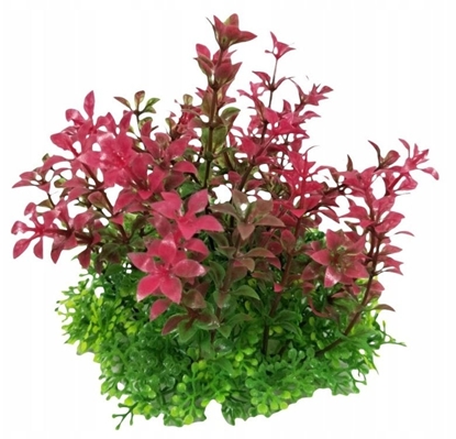 Picture of Terra Natura Aqua Natura, rolina, do dekoracji akwarium, fioletowa, plastikowa, 12 cm, szerokie gste pdy z fioletowymi kocówkami