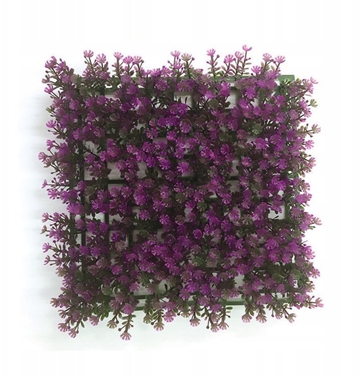 Picture of Terra Natura Aqua Natura, rolina, do dekoracji akwarium, fioletowa, plastikowa, 25 cm x 25 cm, morski dywan