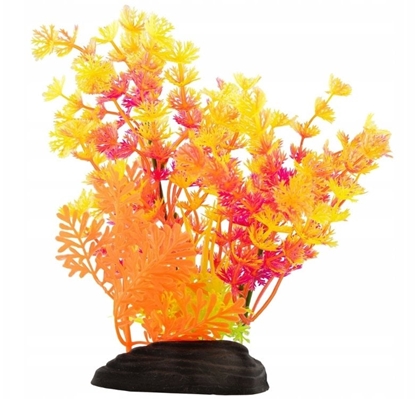 Picture of Terra Natura Aqua Natura, rolina, do dekoracji akwarium, mix kolorów, plastikowa, 20 cm, paprotka i spirulina