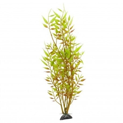 Picture of Terra Natura Aqua Natura, rolina, do dekoracji akwarium, óta, plastikowa, 31 cm, mody beniaminek