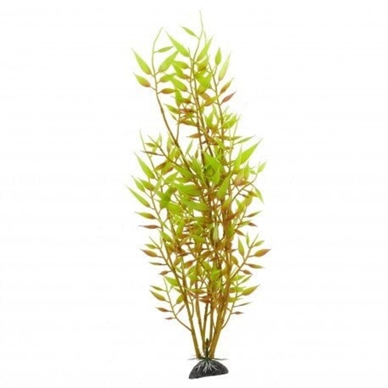 Picture of Terra Natura Aqua Natura, rolina, do dekoracji akwarium, óta, plastikowa, 31 cm, mody beniaminek