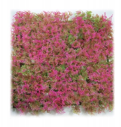 Picture of Terra Natura Aqua Natura, rolina, do dekoracji akwarium, róowa, plastikowa, 25 cm x 25 cm, morski dywan