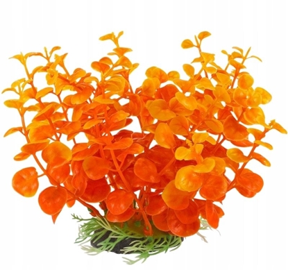 Picture of Terra Natura Aqua Natura, rolina, do dekoracji akwarium, w pomaraczowy, plastikowy, 12 cm, peperomia, szeroki