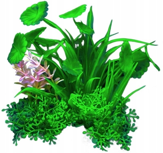 Picture of Terra Natura Aqua Natura, rolina, do dekoracji akwarium, zielona z dodatkiem róowego, plastikowa, 12 cm, paskie okrge licie
