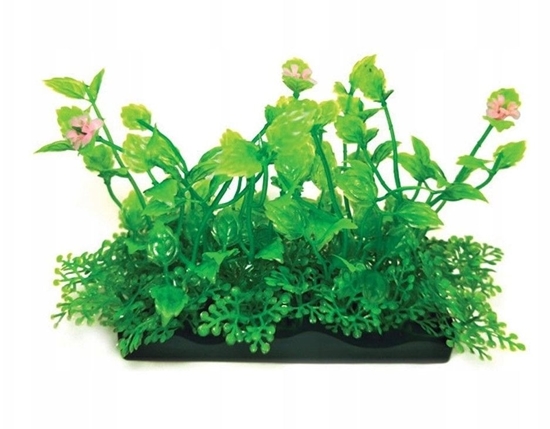 Picture of Terra Natura Aqua Natura, rolina, do dekoracji akwarium, zielona, plastikowa, 10 cm, ótawe licie