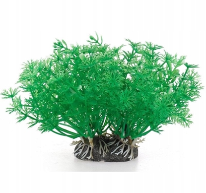 Picture of Terra Natura Aqua Natura, rolina, do dekoracji akwarium, zielona, plastikowa, 10 cm, pdy kopru, szerokie