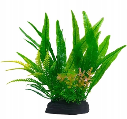 Picture of Terra Natura Aqua Natura, rolina, do dekoracji akwarium, zielona, plastikowa, 18 cm, papro i wodorost leny