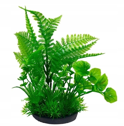 Picture of Terra Natura Aqua Natura, rolina, do dekoracji akwarium, zielona, plastikowa, 18 cm, peperomia ostra i fern