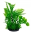 Изображение Terra Natura Aqua Natura, rolina, do dekoracji akwarium, zielona, plastikowa, 18 cm, peperomia ostra i fern