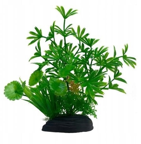 Picture of Terra Natura Aqua Natura, rolina, do dekoracji akwarium, zielona, plastikowa, 20 cm, paprotka i mode pdy