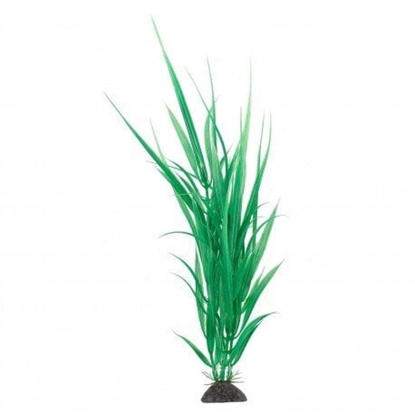 Picture of Terra Natura Aqua Natura, rolina, do dekoracji akwarium, zielona, plastikowa, 31 cm, dzika trawa