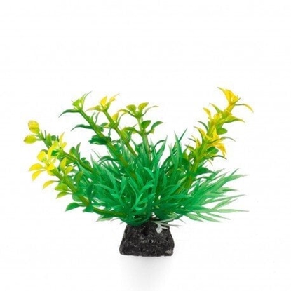 Picture of Terra Natura Aqua Natura, rolina, do dekoracji akwarium, zielono-óta, plastikowa, 10 cm, wzrastajce pdy i spirulina