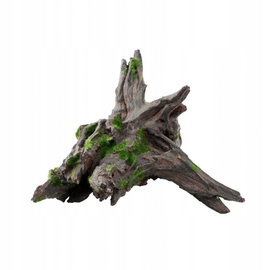 Picture of Terra Natura Dekoracja akwarystyczna drift wood duy 18cm