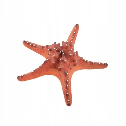 Picture of Terra Natura Dekoracja akwarystyczna dua czerwona rozgwiazda 22cm