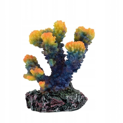 Picture of Terra Natura Dekoracja akwarystyczna koralowiec niebieski 8cm