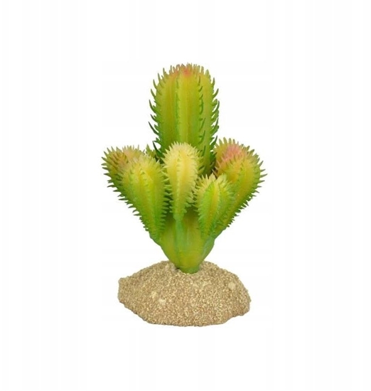 Picture of Terra Natura Dekoracja do terrarium kaktus na podstawce 7cm