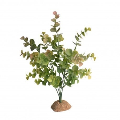 Picture of Terra Natura Dekoracja do terrarium krzew czerwony 20cm