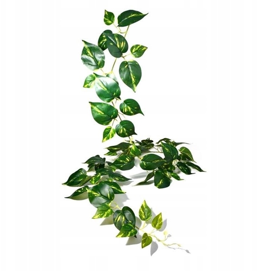 Picture of Terra Natura Dekoracja do terrarium wiszca rolina na gazce dua 30*17*211cm