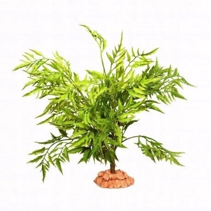 Picture of Terra Natura Dekoracja terarystyczna rolina pustynna na podstawce dua 40cm