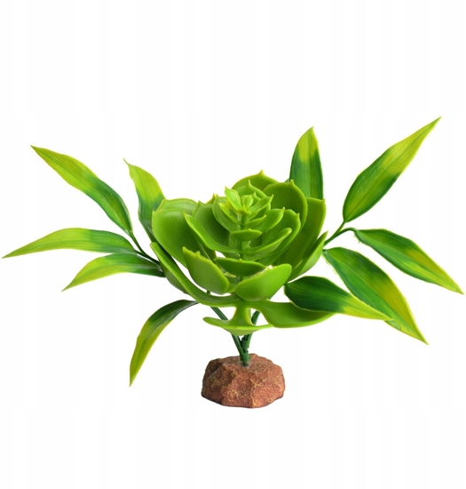 Изображение Terra Natura Dekoracja terrarystyczna rolina pustynna na podstawce rednia 20cm