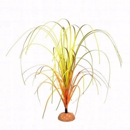 Attēls no Terra Natura Dekoracja terrarystyczna trawa na duej podstawce 24cm