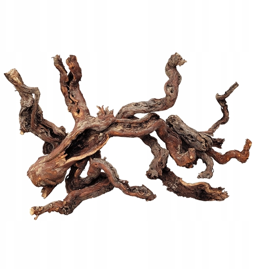 Picture of Terra Natura WIO Centurion Wood, dekoracyjne drewno, do akwarium i terrarium, 20-30 cm | ± 5 cm