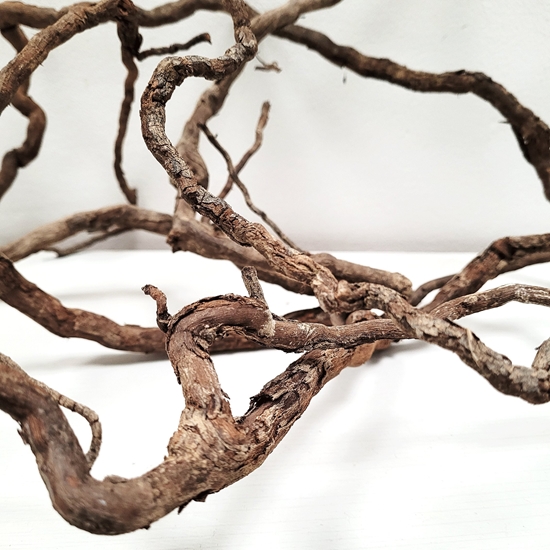 Picture of Terra Natura WIO Elder Root Mix, zestaw dekoracyjny, do terrarium, 0,25kg