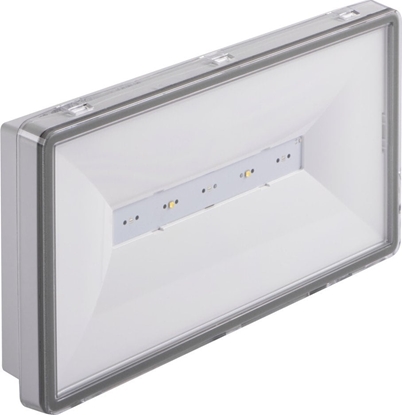 Picture of TM TECHNOLOGIE Oprawa awaryjna 1h dwufunkcyjna ONTEC S M2 102 M AT W COLD IP65 -15°C-40°C TM-OS.M2ATM16CW