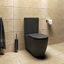Picture of TOILET ARC WITH TANK BLACK MATT