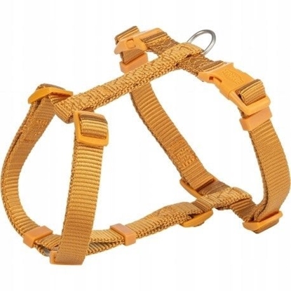 Picture of Trixie Premium H-type harness for dogs, curry, ML: 5275 cm/20 mm