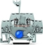 Attēls no Wago Zczka z warystorem 60V DC 280-502/281-611
