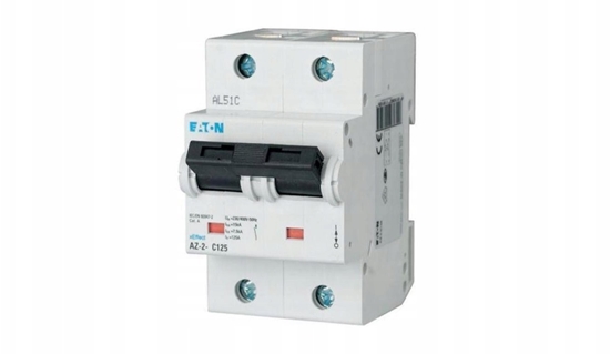 Picture of Wycznik nadprdowy 2P C 125A 15kA AC AZ-2-C125 211810